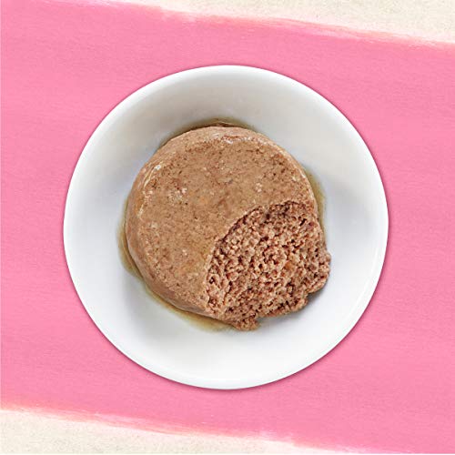 Purina Beyond Grain Free, Natural Pate Wet Cat Food, Grain Free Wild Salmon Recipe - (12) 3 oz. Cans