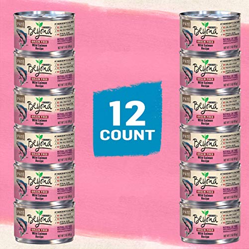 Purina Beyond Grain Free, Natural Pate Wet Cat Food, Grain Free Wild Salmon Recipe - (12) 3 oz. Cans