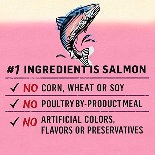 Purina Beyond Grain Free, Natural Pate Wet Cat Food, Grain Free Wild Salmon Recipe - (12) 3 oz. Cans
