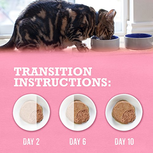 Purina Beyond Grain Free, Natural Pate Wet Cat Food, Grain Free Wild Salmon Recipe - (12) 3 oz. Cans