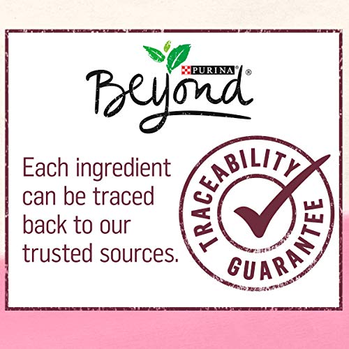 Purina Beyond Grain Free, Natural Pate Wet Cat Food, Grain Free Wild Salmon Recipe - (12) 3 oz. Cans