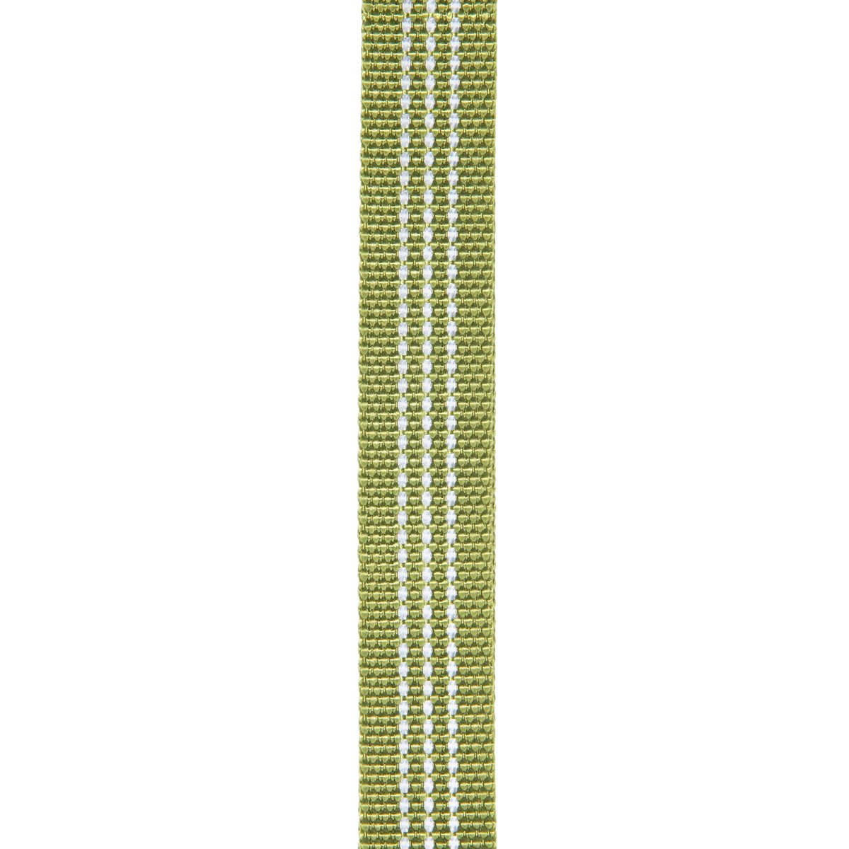 Carhartt Fully Adjustable Nylon Webbing Collars for Dogs, Reflective Stitching for Visibility, Light Moss (Nylon Webbing), Large