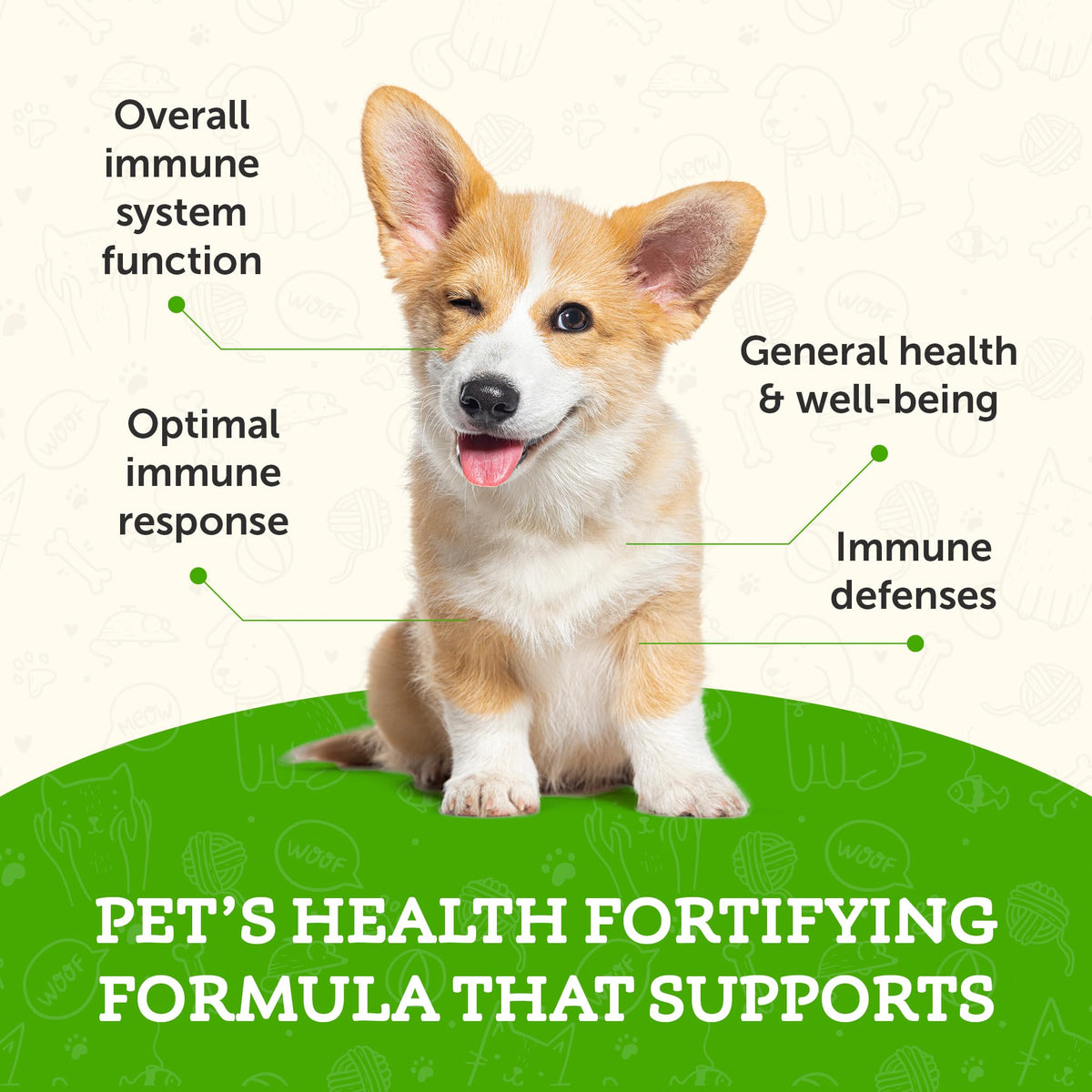 Animal Essentials Super Immune Support for Dogs & Cats, 1 fl oz - Ol Complex, Promotes Healthy Immune System