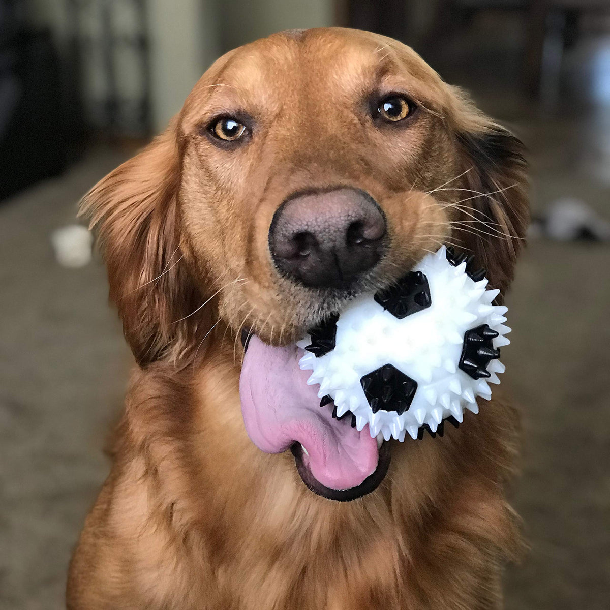 Gnawsome 3.5” Squeaker Soccer Ball Dog Toy - Medium, Promotes Dental and Gum Health for Your Pet, Colors Will Vary, All Breed Sizes